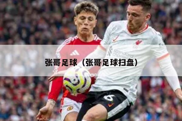 张哥足球（张哥足球扫盘）