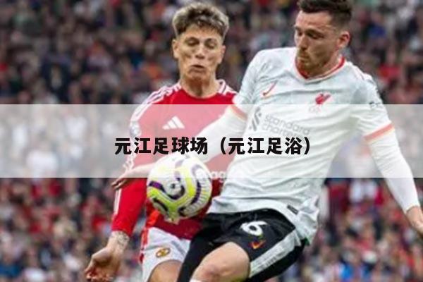 元江足球场（元江足浴）