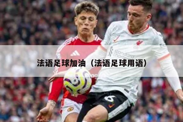 法语足球加油（法语足球用语）