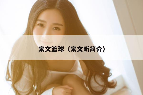 宋文篮球（宋文昕简介）