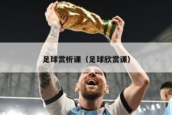 足球赏析课（足球欣赏课）