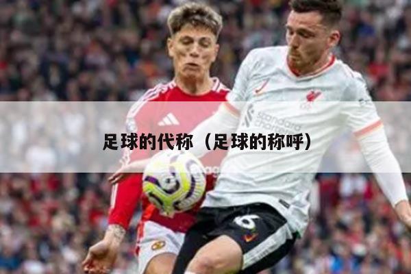 足球的代称（足球的称呼）
