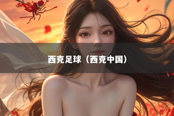 西克足球（西克中国）