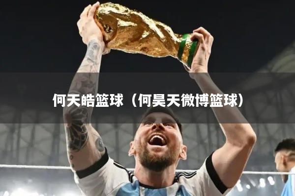 何天皓篮球（何昊天微博篮球）