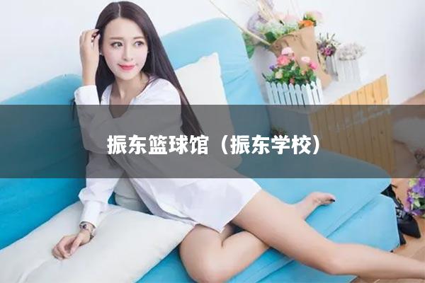 振东篮球馆（振东学校）